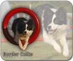 Mousepad Border Collie